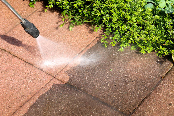 Best Roof Pressure Washing  in Eagar, AZ